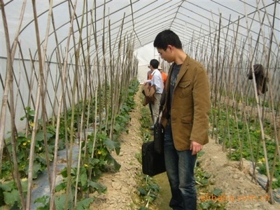 苦參堿殺菌劑——綠色植保新選擇，誠邀廣東地區經銷商合作共贏