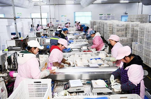 日產量達70噸，產值60余萬元 工廠化種植食用菌助農增收的技術開發與實踐