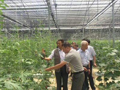 袁文先將軍深入三明調研，為扶貧改革與種植技術發展注入新動能